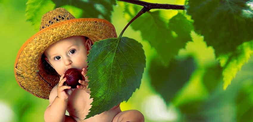 10 Best Foods for Babies and Toddlers to Gain Weight