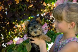 child holding dog