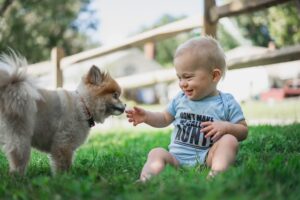 dog and baby playing